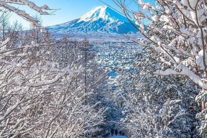 Kamkura: Private Zazen, Matcha at Bamboo Temple & Mindful Cuisine - Final Thoughts