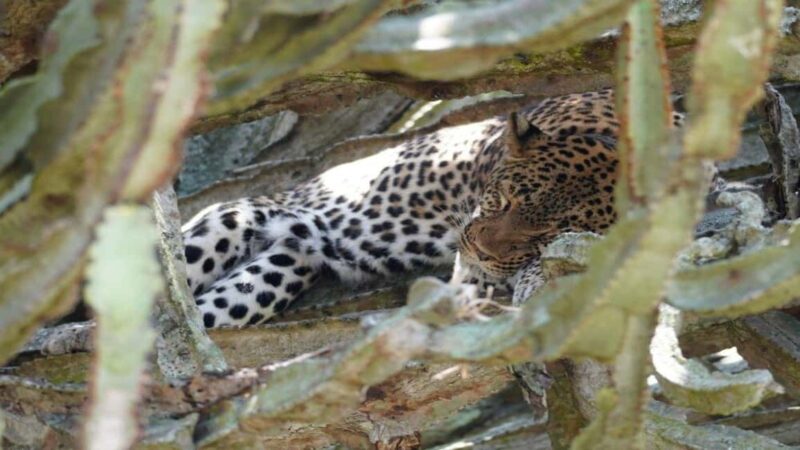 Kampala: 3-Day Murchison Falls National Park Safari - Who Will Love This Safari?