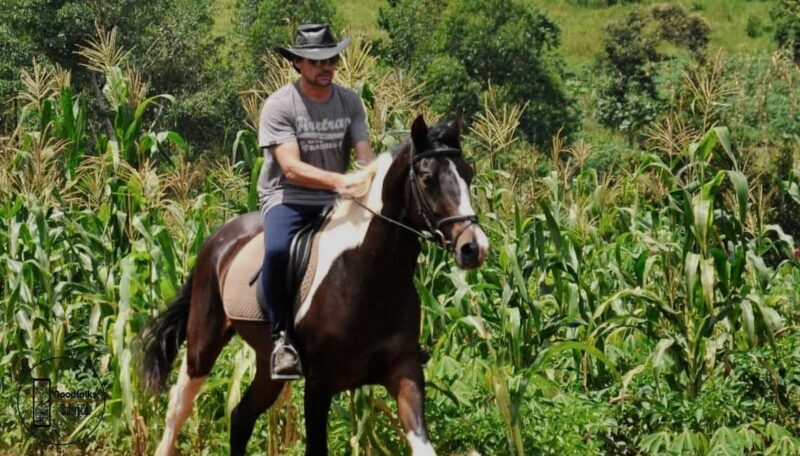 KAMPALA BUDGETLY RIDE, FRUIT & FLIRT..! | 1-Day Adrenaline - An In-Depth Look at the Tour Itinerary