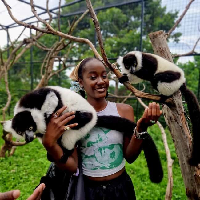 Kampala: Conservation Centre for Wildlife Guided Tour - Key Points