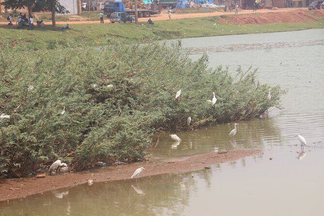 Kampala cultural tours - Final Thoughts