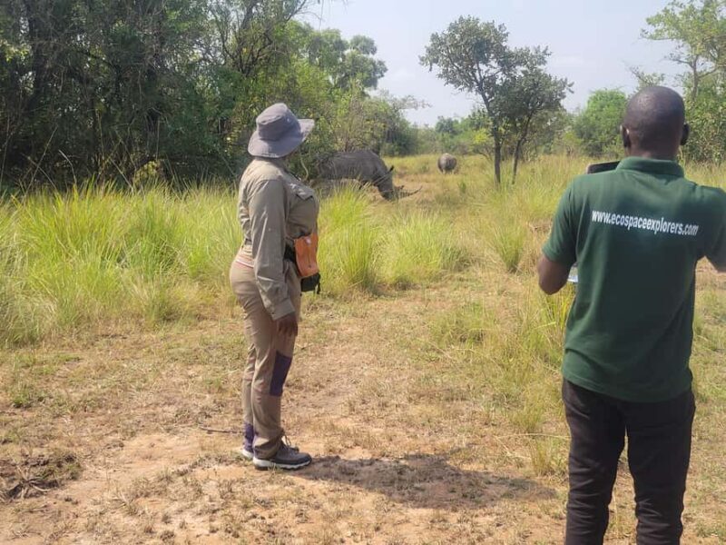 Kampala: Ziwa Rhino trekking tour with Pick up & drop off - FAQ