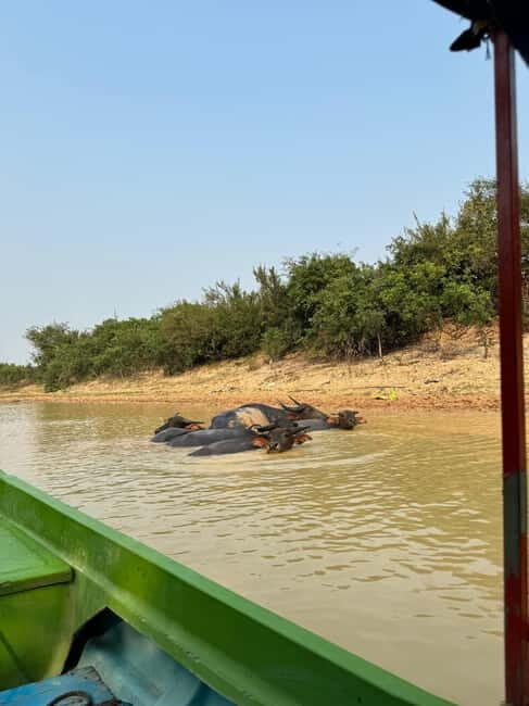 Kampong Phluk Floating Village & Tonle Sap Boat Tour. - Practical Details and Considerations