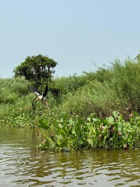 Kampong Phluk Floating Village & Tonle Sap Boat Tour. - The Experience Provider: Hellobirdtour