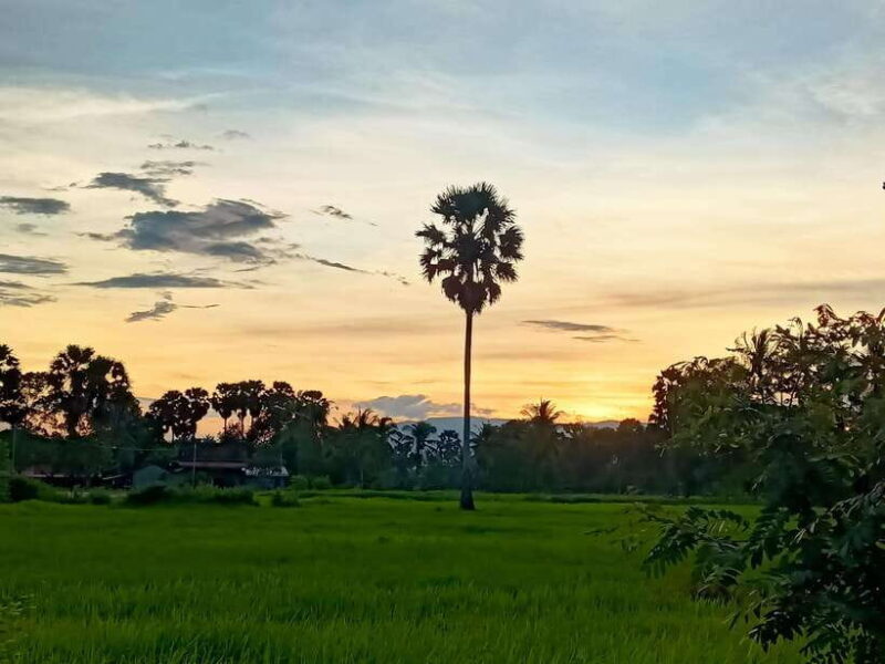 Kampot Countryside include Pepper farm,Kep crab market beach - Key Points
