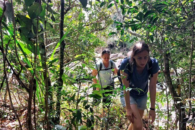 Kampot Day Tour "Bokor National Park" - Final Thoughts: Is This Tour Right for You?