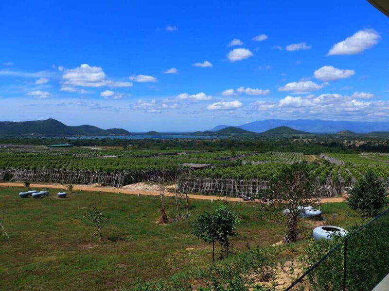 Kampot Day Trip to Pepper Farm, Temple and Salt Field , etc - Who Should Consider This Tour?