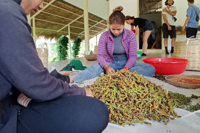 KAMPOT- Pepper farm .Cave . Secret Lake & salt fields - Introduction: Why This Tour Stands Out