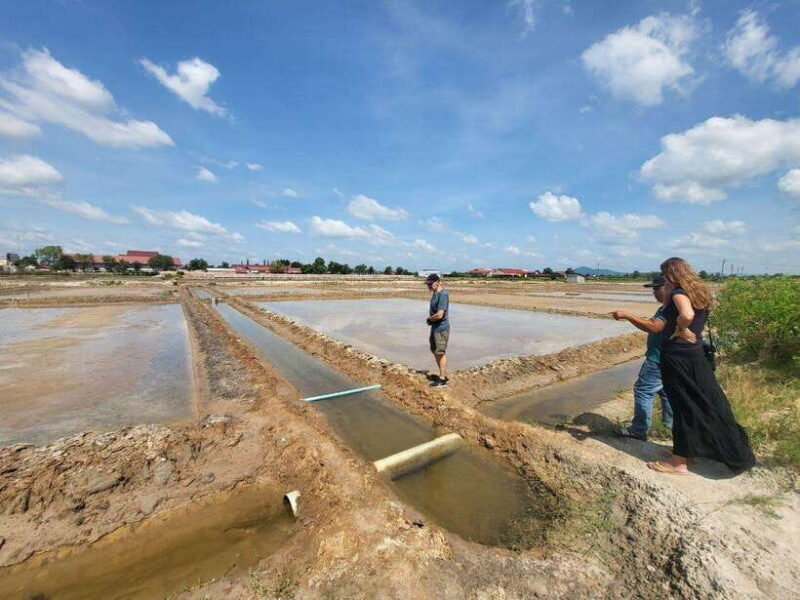 Kampot Pepper Farm, Salt Fields, Cave from Sihanoukville - The Salt Fields: A Glimpse into Traditional Cambodian Agriculture