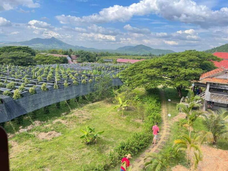 Kampot Pepper Farm, Salt Fields, Crab Market from Phnom Penh - Frequently Asked Questions