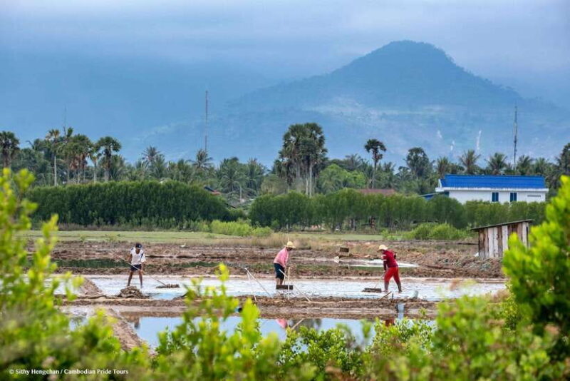 Kampot: Salt Fields, Pepper Farm, and Secret Lake Tour - An In-Depth Look at the Kampot Salt Fields, Pepper Farm, and Secret Lake Tour