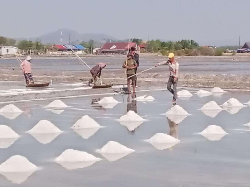 Kampot ~The County side/pepper farm/ Kep Crab market - Final Thoughts: Who is This Tour Best For?