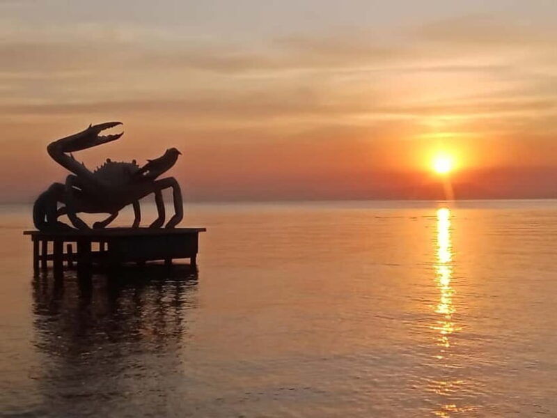 KAMPOT~ the kayak tour/pepper testing/Sunset on time & more - A Day in Kampot’s Countryside: What to Expect
