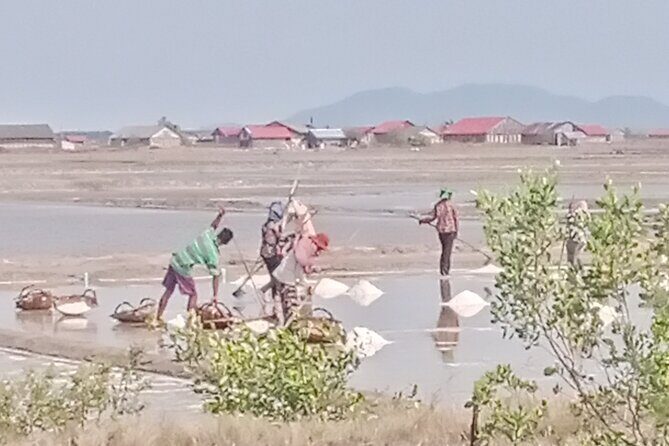 KAMPOT TRAVEL-Pepper farm. Cave.Secret lake-Crab market & Salt... - A Closer Look at the Itinerary