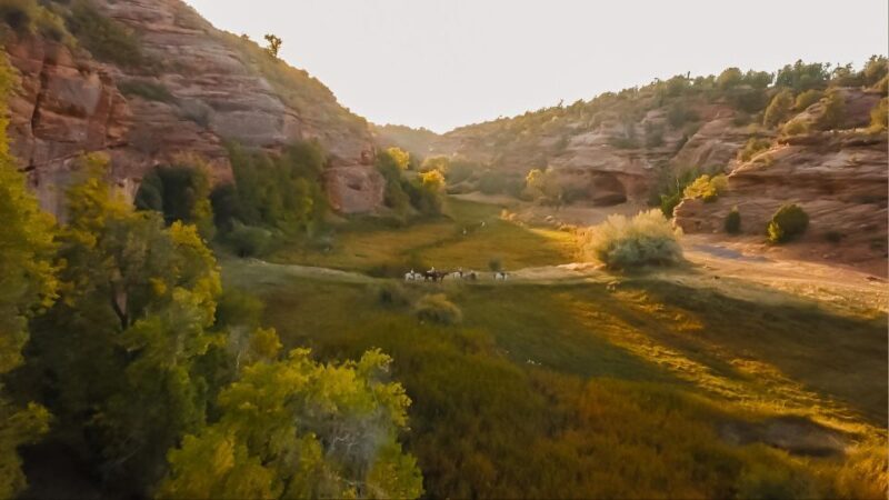 Kanab: Cave Lakes Canyon Horseback Riding Experience - The Trail and Highlights