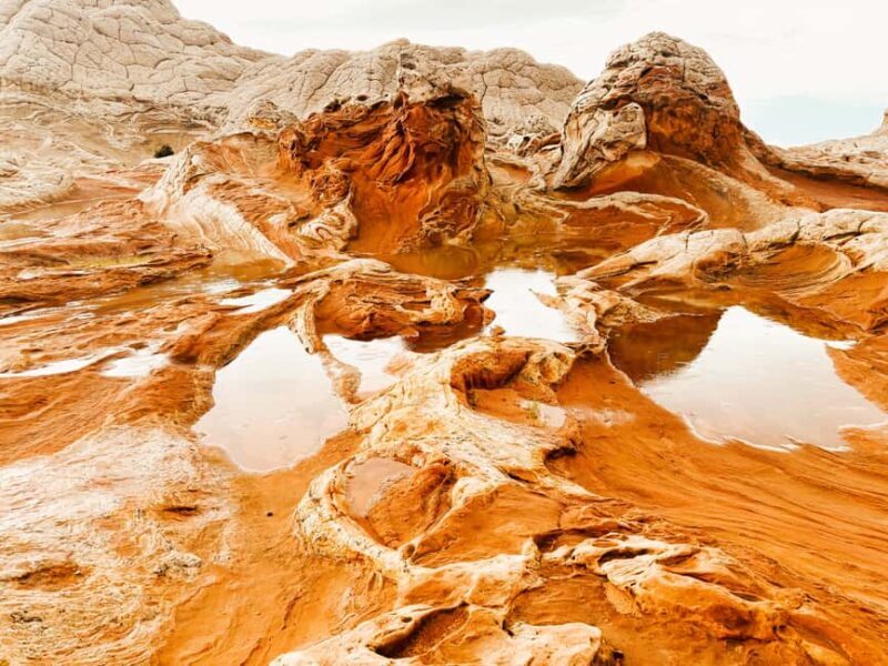 Kanab: White Pocket Rock Formation Small Group Tour - The Itinerary: What to Expect on This Full Day