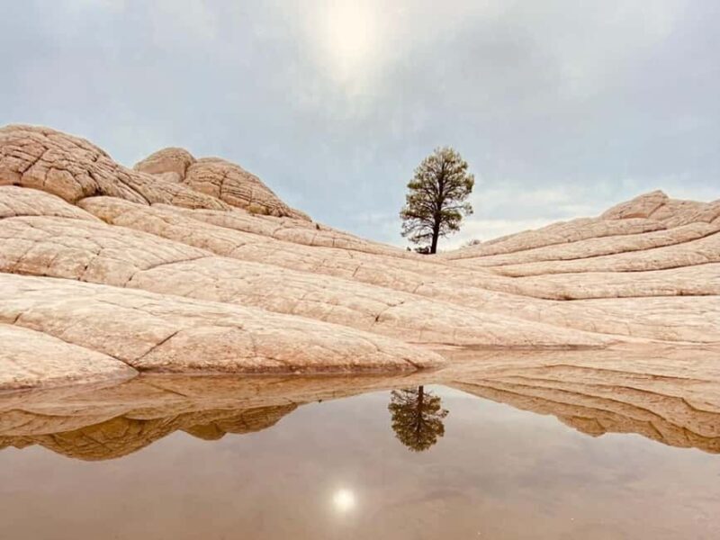 Kanab: White Pocket Rock Formation Small Group Tour - Transportation: Comfort and Terrain