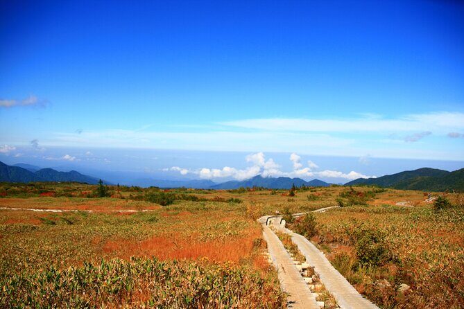 Kanazawa Day Tour: Shomyo Falls & Tateyama Mountain Walks - An In-Depth Look at the Itinerary