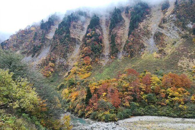 Kanazawa Day Tour: Shomyo Falls & Tateyama Mountain Walks - Authentic Insights from Reviews