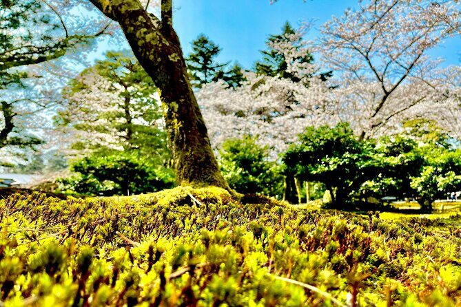 Kanazawa Full Day Private Tour to Top Highlights with Local Guide - In-Depth Look at the Itinerary