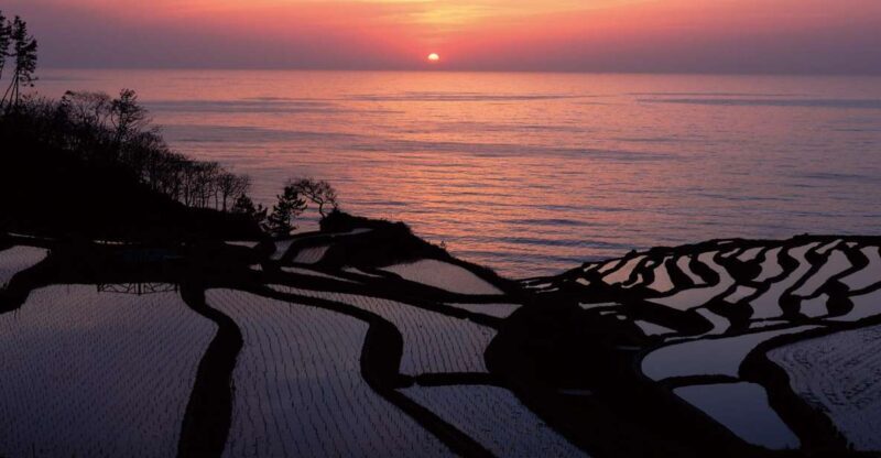 Kanazawa: Noto Peninsula Private Day-Tour - The Sum Up