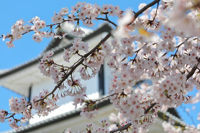 Kanazawa private 1 day/Photoshoot by professional photographer - Key Points