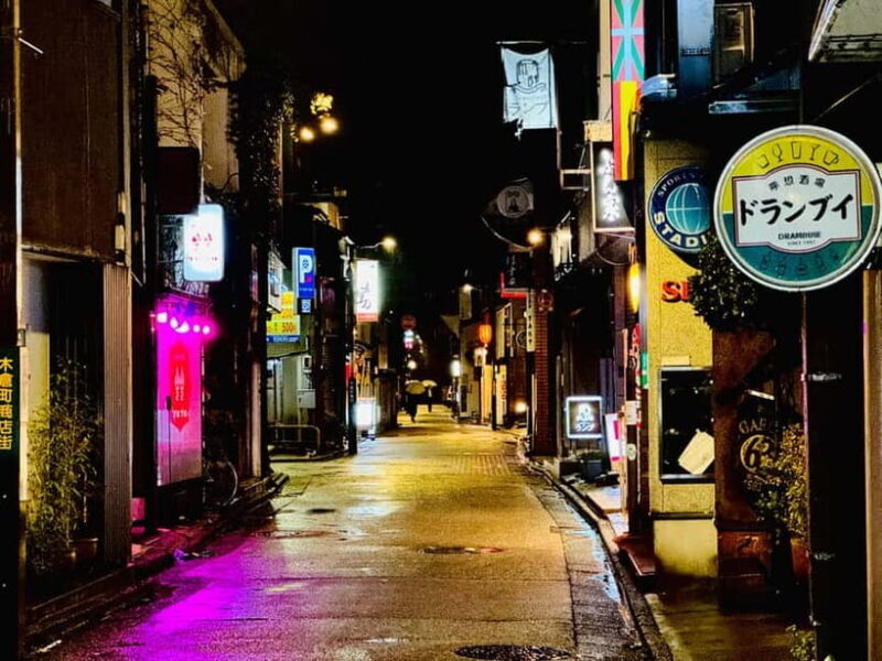Kanazawa: Private 3-Hour Bar Hopping Tour with Local Guide - Practical Tips for Participants