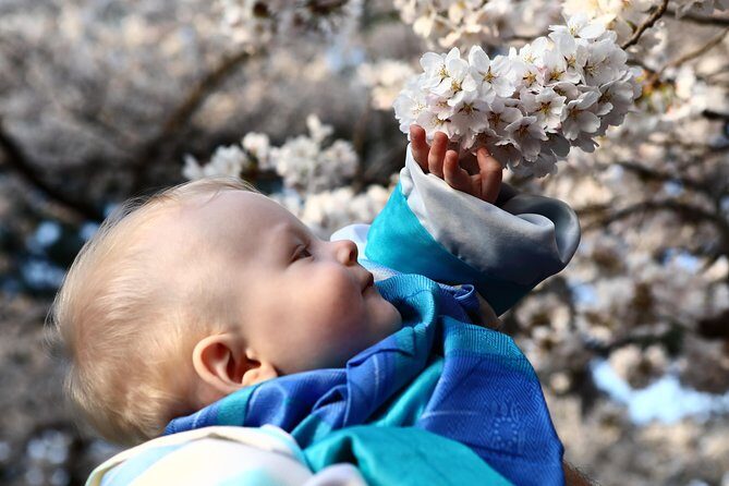 Kanazawa private half day/Photoshoot by professional photographer - A Closer Look at the Itinerary