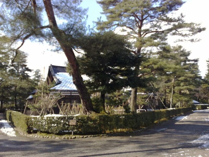 Kanazawa: Private Walking Tour with a Local - Discovering Kanazawa: A Walk Like No Other