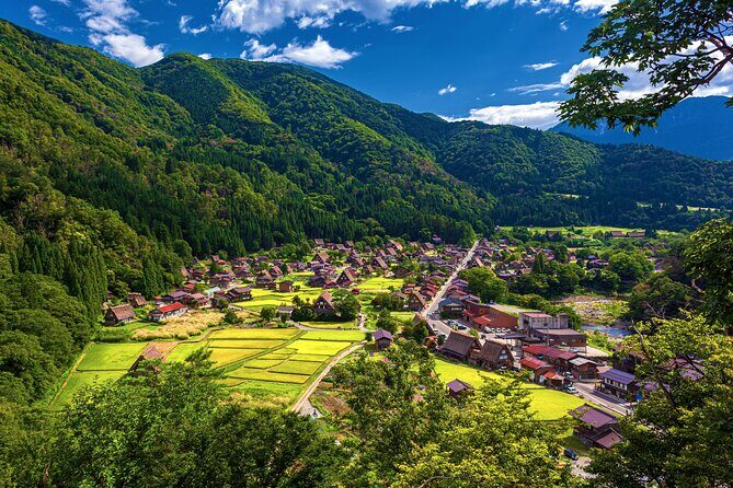 Kanazawa to Shirakawago to Takayama: English Speaking Driver Only - FAQ