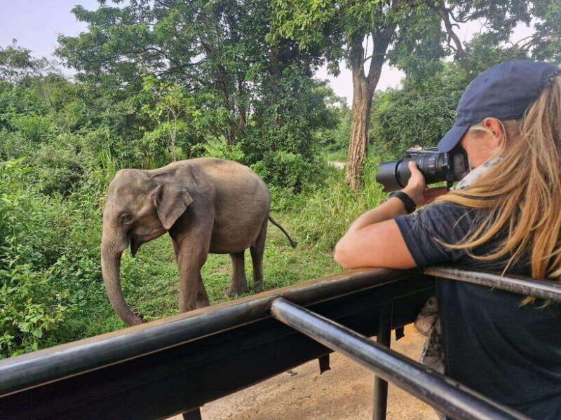 Kandy: 4-Day Sri Lanka Full Circle Private Tour To Colombo - Introduction