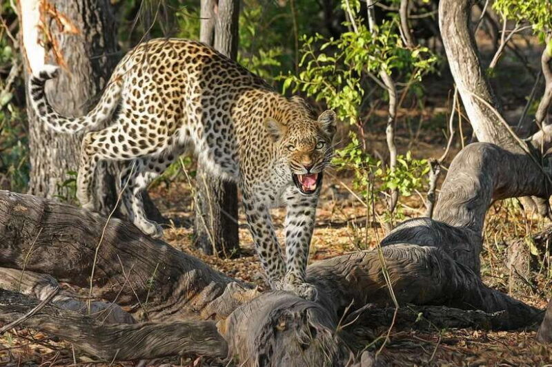 Kandy: 4-Day Sri Lanka Full Circle Private Tour To Colombo - Is the Price Worth It?