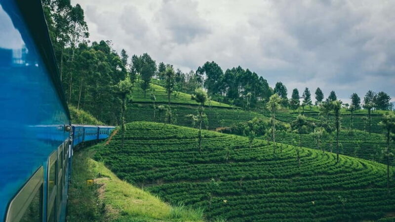 Kandy: All-Inclusive One Night Stay & Train Ride to Ella - Key Points