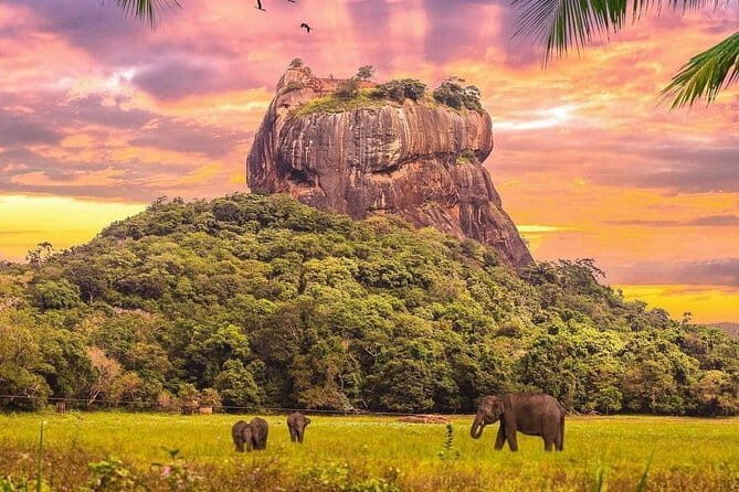 Kandy City Day Tour - Who Should Book This Tour?