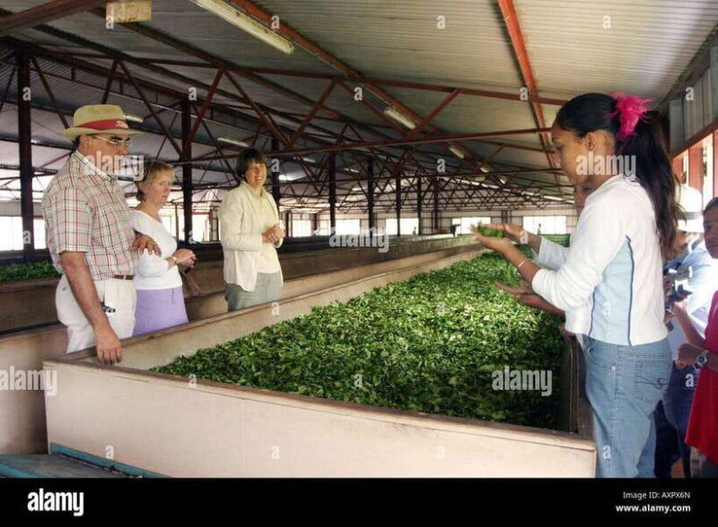 Kandy City Explore Full Day Tour , Like a Local - Transport & Group Size