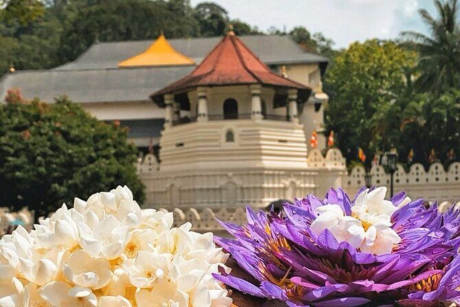 Kandy City Sightseeing and Ambuluwawa Tower by Tuk Tuk Tour - Who Will Enjoy This Tour?