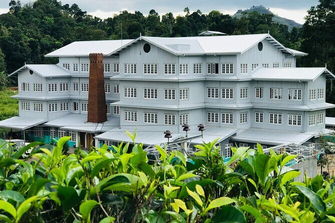 Kandy City Sightseeing and Ambuluwawa Tower by Tuk Tuk Tour - Final Thoughts