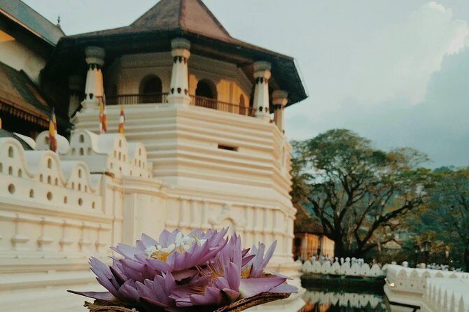 Kandy City Tour and day trip private luxury car and van - Frequently Asked Questions (FAQs)