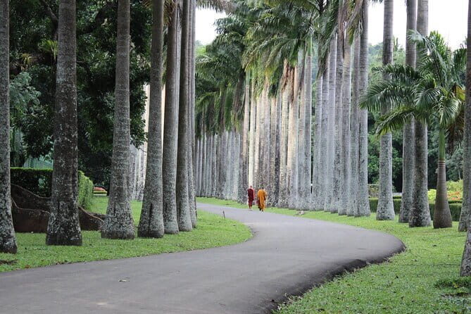 Kandy City Tour by Tuk-Tuk (Private & All-Inclusive) - Panoramic Views from Kandy View Point