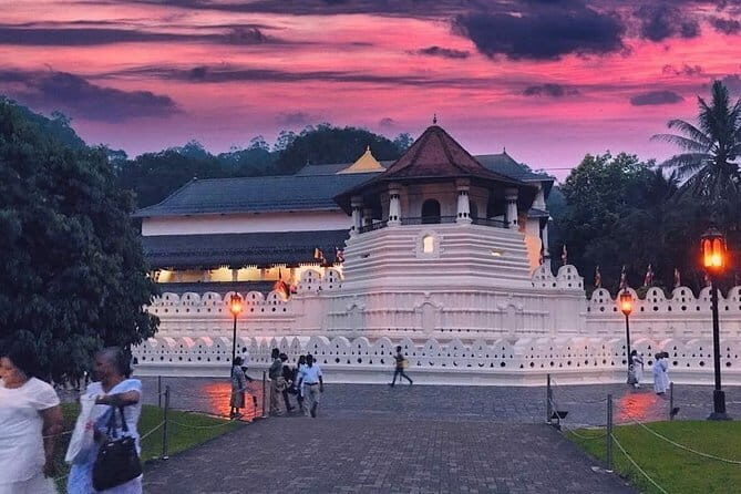 Kandy City Tour by Tuk-Tuk (Private & All-Inclusive) - The Art of Tea at Embilmeegama Tea Factory