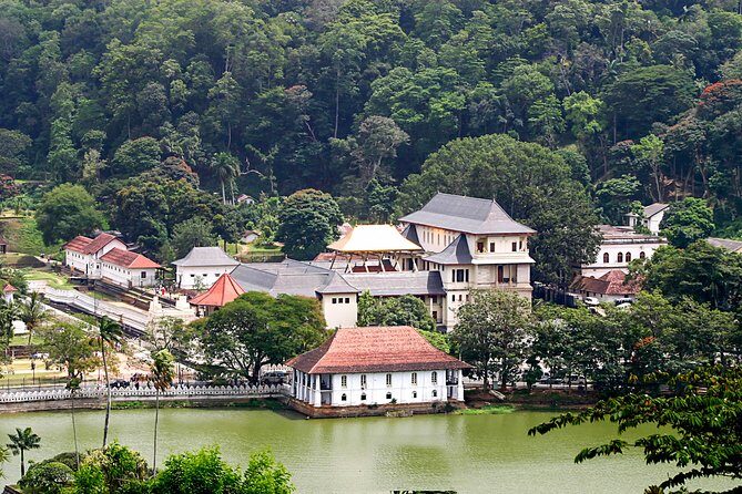 Kandy City Tour from Bentota - Key Points