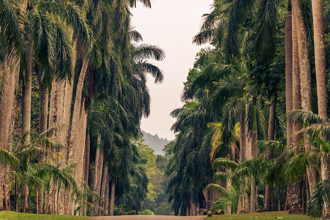 Kandy City Tour from Bentota - Final Thoughts: Is It Worth It?