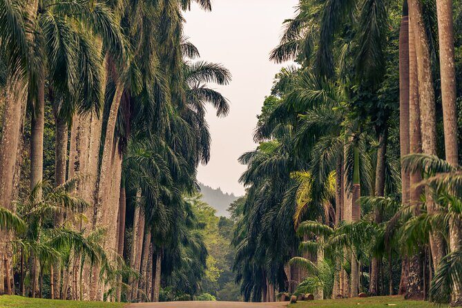 Kandy City Tour from Colombo - Additional Details & Practical Info
