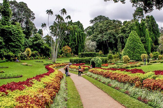 Kandy City Tour from Colombo - Who is This Tour Best For?