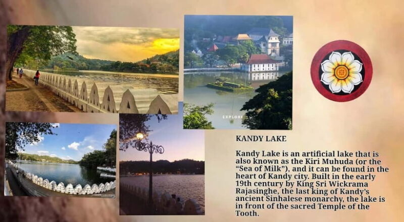 Kandy: City Tour with Temple of the Tooth & Tea Garden - Practical Considerations for Travelers