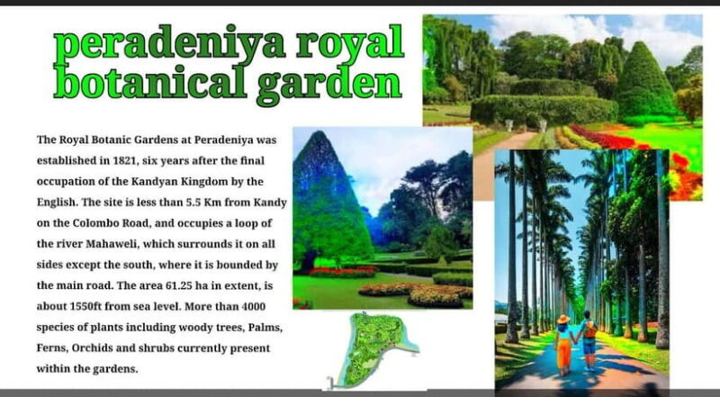 Kandy: City Tour with Temple of the Tooth & Tea Garden - Who Should Consider This Tour?