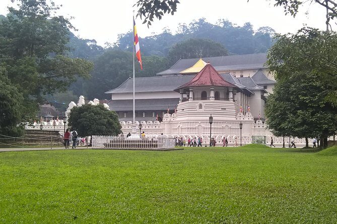 Kandy Day Tour From Colombo - What to Expect from the Kandy Day Tour