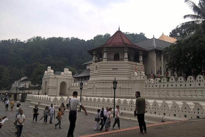 Kandy Day Tour From Colombo - FAQ