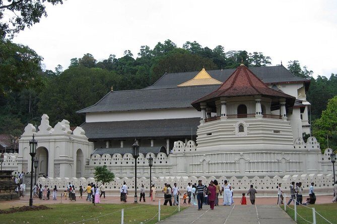 Kandy Day Trip with Tooth Relic Temple & Unique Attractions - The Sum Up