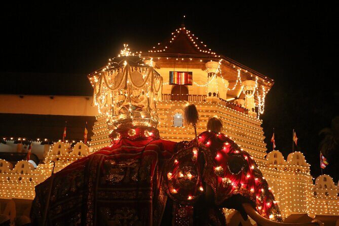 Kandy Full-Day Tour - The Itinerary in Detail: What to Expect